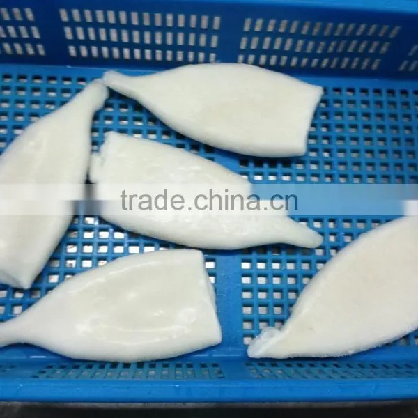 Frozen Pacific Squid Tube photo-3