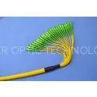 Ribbon / Bundle SC,FC,ST,LC Optical Fiber Patch Cord With 0.9, 2.0, 3.0 Fanout Available