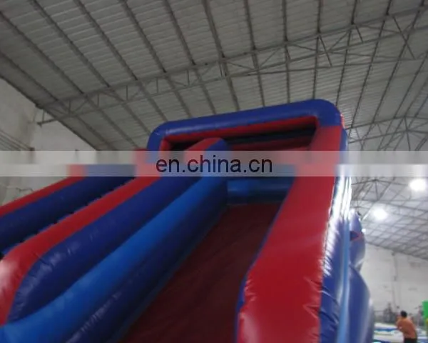 Custom Inflatable Pool Water Slide Hippo Inflatable Water Slide photo-2