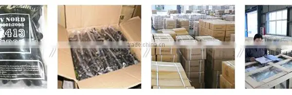 Grade 10.9 High Strength Hub Wheel Bolt And Nut photo-3