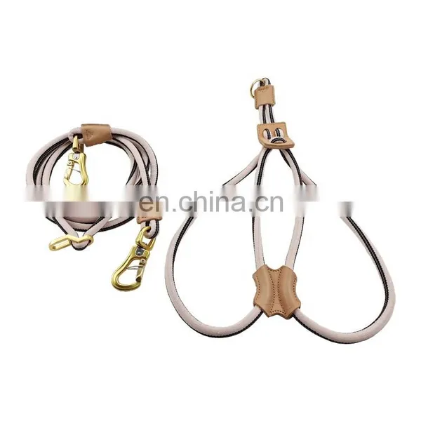 Multifunction Dog Walking Leash Handsfree Dog Leash Original Design photo-3