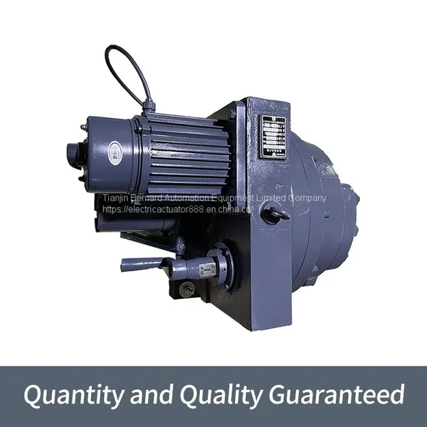 Bernard External Regulation Electric Actuators DKJ - 5100D Intelligent Device Quarter-turn Valves photo-2