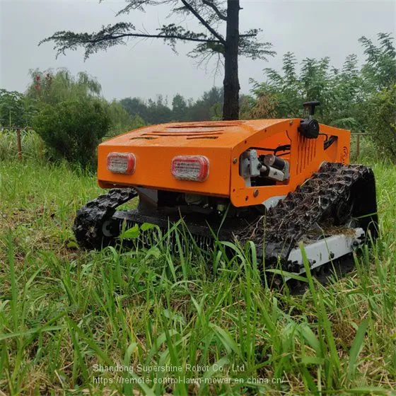 Remote Control Steep Slope Mower, China Remote Controlled Brush Cutter Price, Slope Mower for Sale photo-2