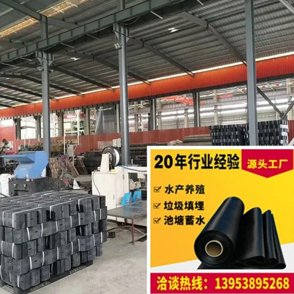 Geogrid TGGS200-400 Drilling Honeycomb Cell to Stabilize Railway Subgrade photo-3