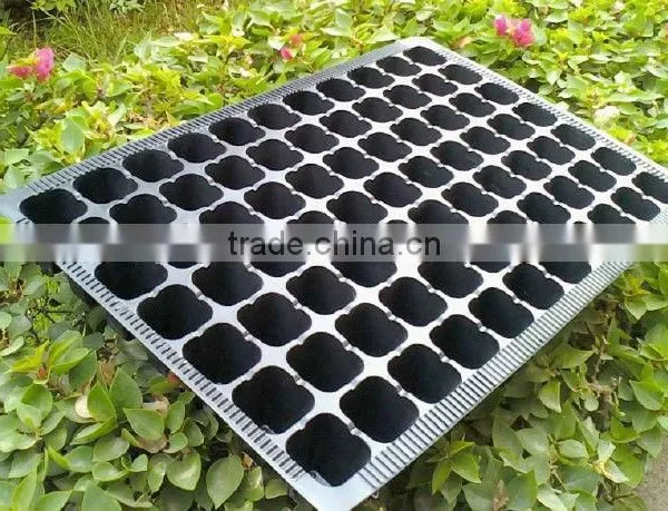 Seedling Tray