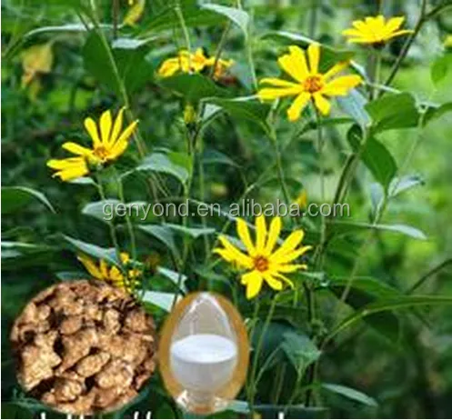 Multifunctional Production Line for Topinambur Inulin Fructose Synanthrin for Sale photo-5