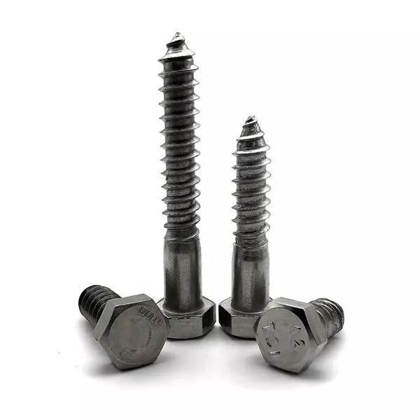 Custom Size Stainless Steel 304 DIN 571 Lag Bolts photo-4