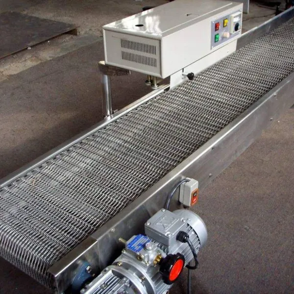 Mesh Chain Conveyor - Customized by Original Manufacturer, High Conveying Capacity, Transparent Price