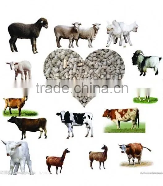 Small Capacity Stainless Steel Mould Flat Die Peanut Shells Pellet Machine photo-6