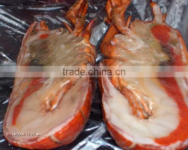 Frozen Cooked/raw Canadian Lobster (homarus Americanus) photo-2