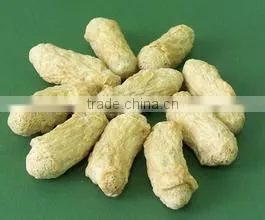 TSP Soya Bean Protein Machinery photo-2