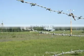 Galvanized and Pvc Barbed Wire Barbed Wire photo-2