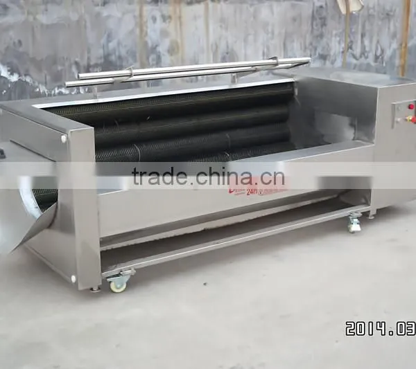 Fruit and Vegetable Processing Line photo-6