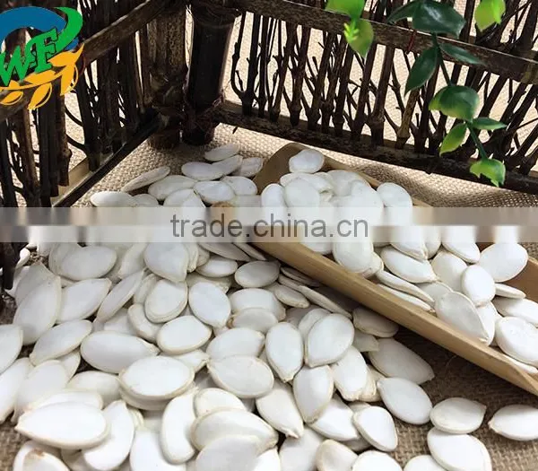 2015 Best Cheaper Snow White Pumpkin Seed for Sale photo-2