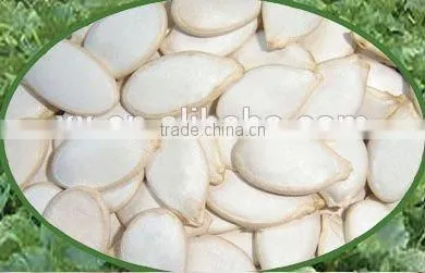 GWS Snow White Pumpkin Seeds Shine Skin Pumpkin Seeds Baked Pumpkin Seeds Recipe photo-3