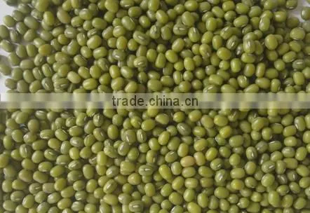 Yellow Mung Beans