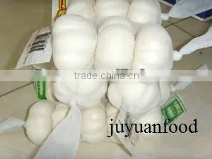 Chinese Garlic