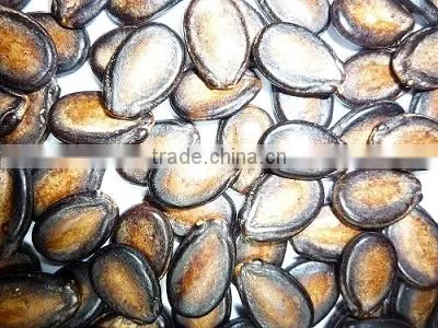 Water Melon Seeds photo-4