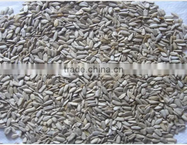 Raw Sunflower Kernels for Wholesaler