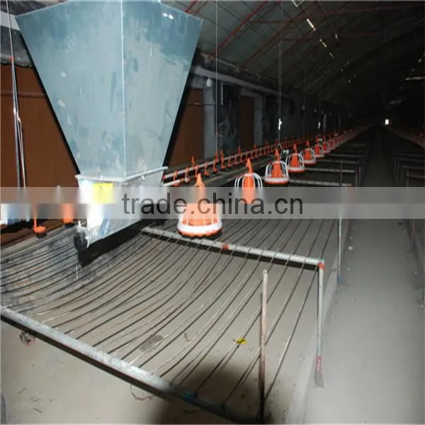 Automatic Broiler Chicken Farm Equipment For Poultry Shed photo-4