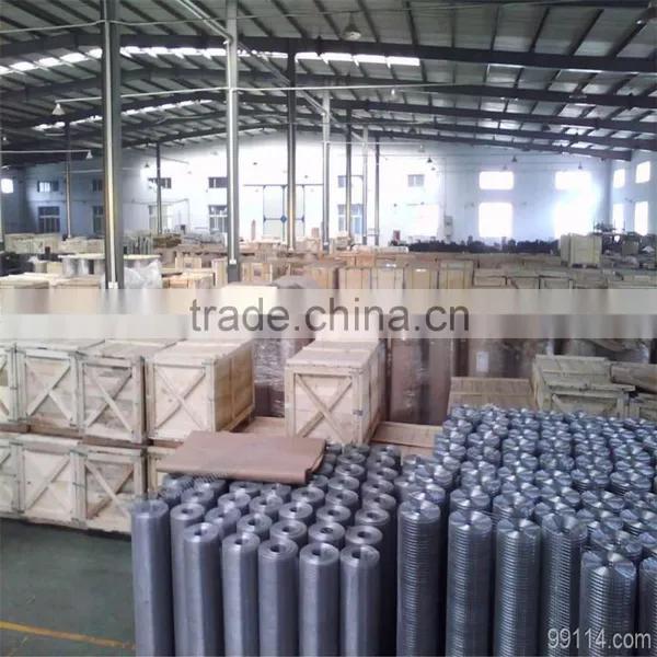 Wholesale Cheap Welded Wire Mesh Stainless Steel Welded Wire Mesh/Anping Factory Welded Wire Mesh photo-5