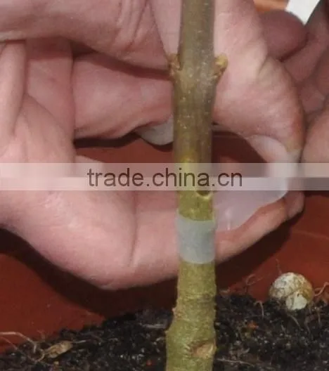 SUCA New Design Omega Grafting Machine Made in China. photo-2