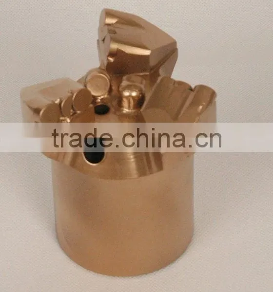 Pdc Drill Bit/pdc Non-coring Bit for Sale Made in China photo-2