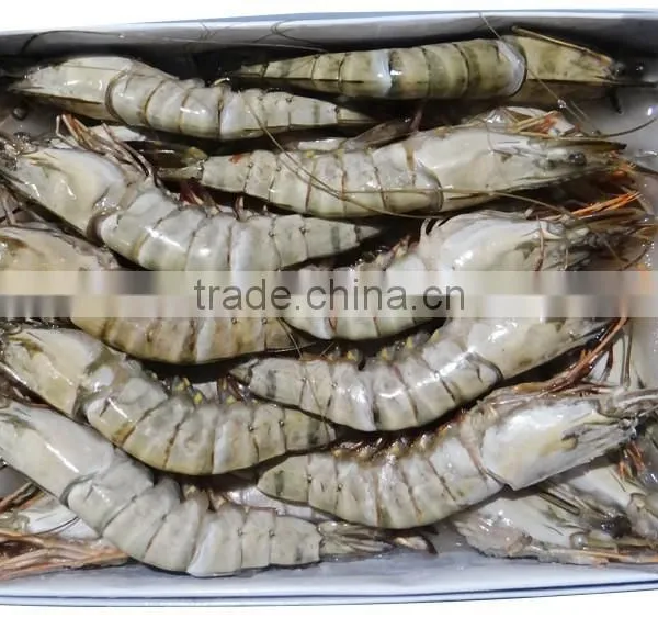 Frozen Banded Shrimp photo-6