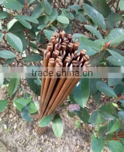 84cm/33" 40-45# Carbonized Self Nocks Bamboo Arrow Shafts With Varnish photo-2