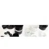 PP Pipe Fitting Mould