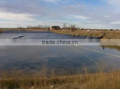 Geomembrane Linings and Liners photo-4