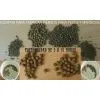 Catfish Feed Machine photo-3