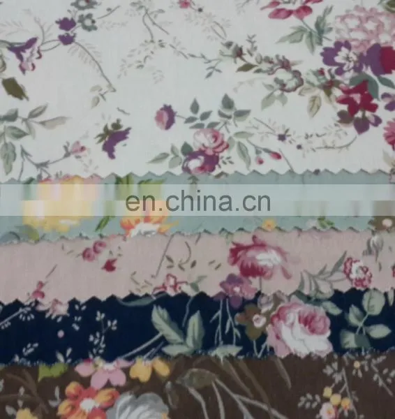 Cotton Canvas photo-4