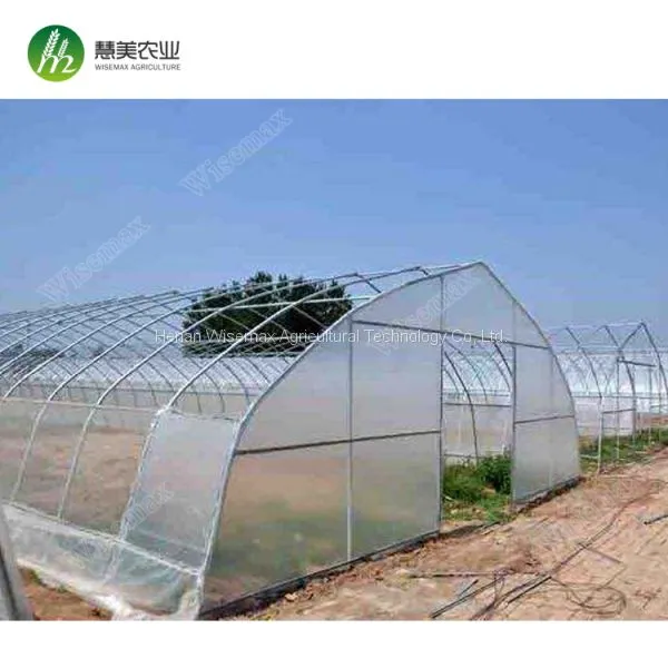 Hot Sale Commercial Polycarbonale Small Single Span Greenhouse photo-5