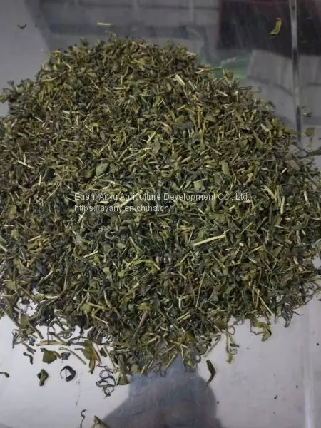 Supply of Green Tea, Coarse Tea, Pearl Tea, Mass Tea, Large Leaf Tea, Suitable for Hotels and Guesthouses to Drink Ai'e Awdiaec Selenium Rich Tea photo-2