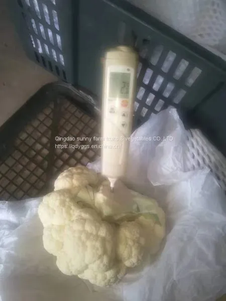 Fresh Cauliflower photo-2