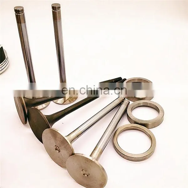Motor Engine Spare Parts for CAT 816 815 215 225 235 120 Mwm Tcg 2020 V20 2032 v8 V16 V12 Gas Engine Valve Seat Guide Insert photo-2