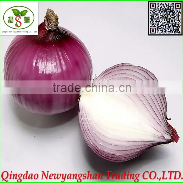 (CHINA RED ONION OFFER ) Red Onion /Fresh Onion photo-3