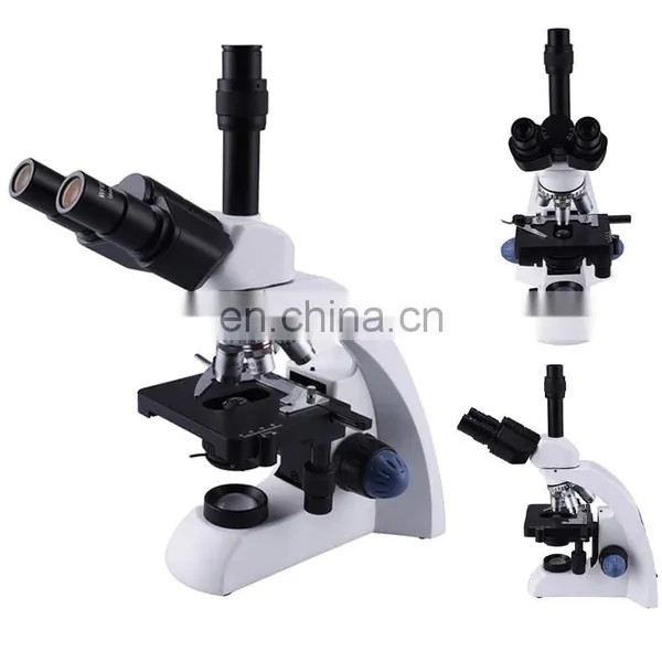 Wholesale Nail Fold Microcirculation Blood Capillary Trinoculaire Microscope Manufacturers Price photo-2
