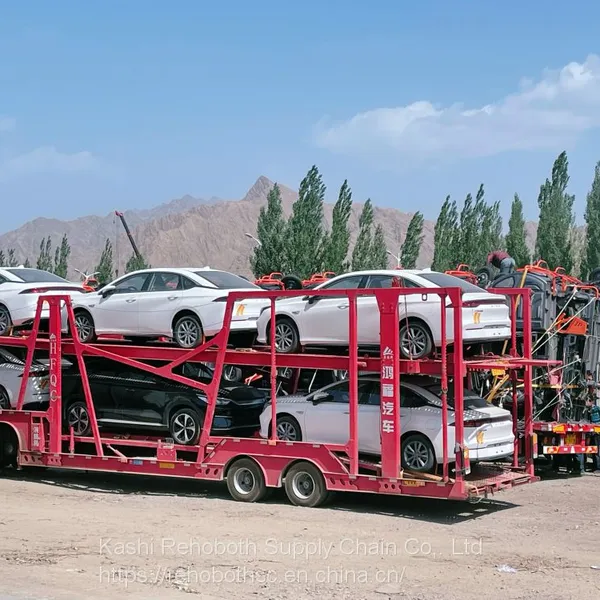 Airway Shipping to Uzbekistan International Logistic Service photo-5