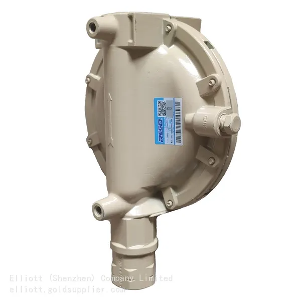 REGO Gas Regulator LV4403C4 LPG Single-stage Pressure Reducing Valves Industrial Boiler Pressure Regulating Valve 13kg/h photo-2