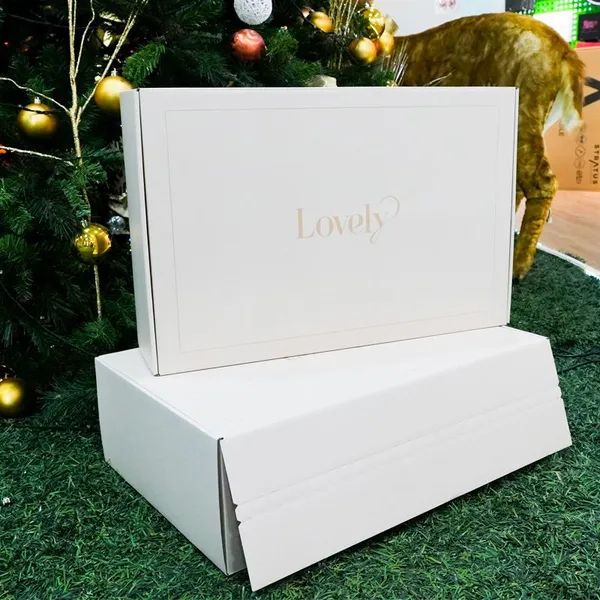 Large Rigid Corrugated Packaging Mailer Shipping Box for Wedding Dress Packing photo-2