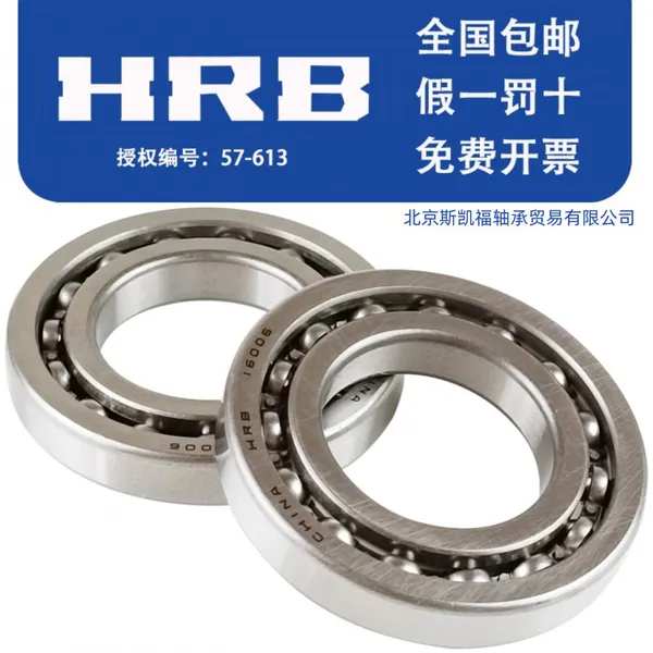 HRB Bearings 6005-2RS HRB Series Dimensions for Conveyor Systems photo-5