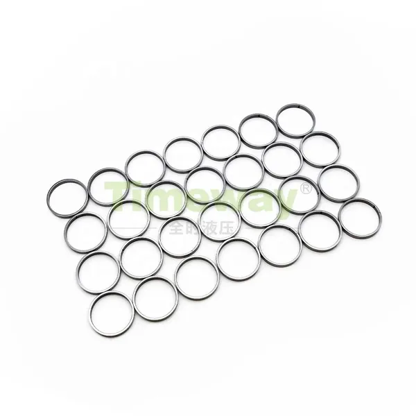 Hydraulic Pump Accessories Piston Ring A8VO55 A8VO80 A8VO107 A8VO120 A8VO140 A8VO200 Pump Parts for Rexroth Piston Pump Repair photo-3