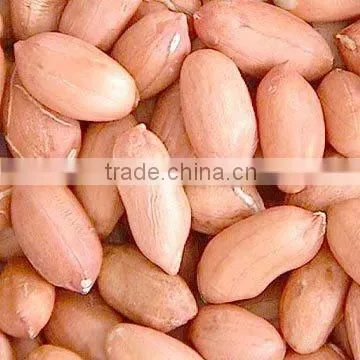 Red Skin Peanuts