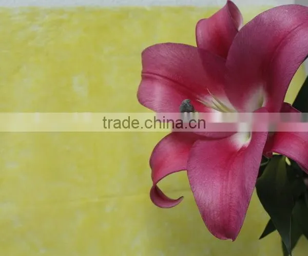 Reasonable Price New Coming Lily Flower From Kunming photo-2