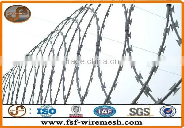Security Fencing Razor Barbed Wire/razor Combat Wire/safety Razor Wire(ISO9001:2008 photo-4
