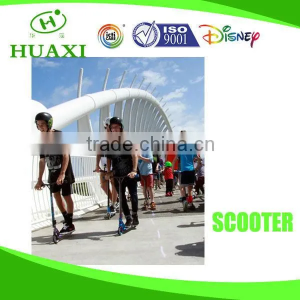 Board Scooter 2 Wheel Scooter