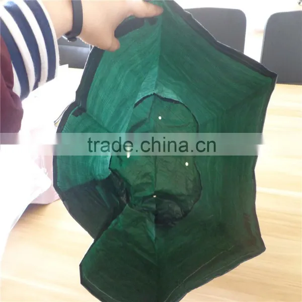 90 Gsm pe Custom Tomato Plant Bag Grow Nursery PE Bag With Handle and Side Window photo-2