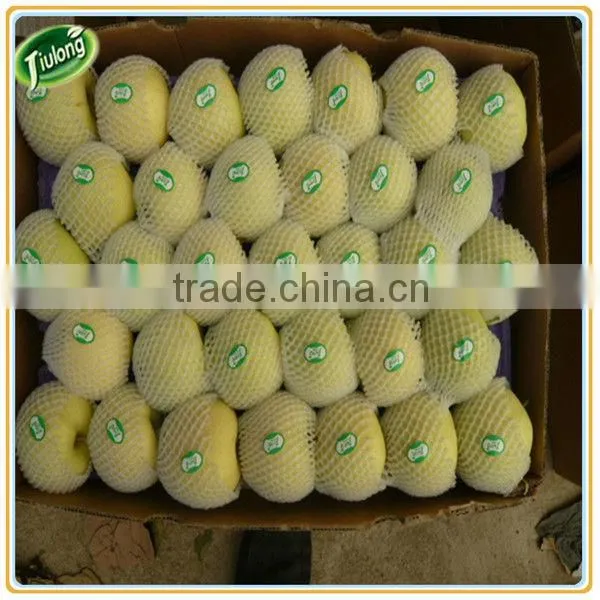 Chinese Fresh Yellow Ya Pear photo-3